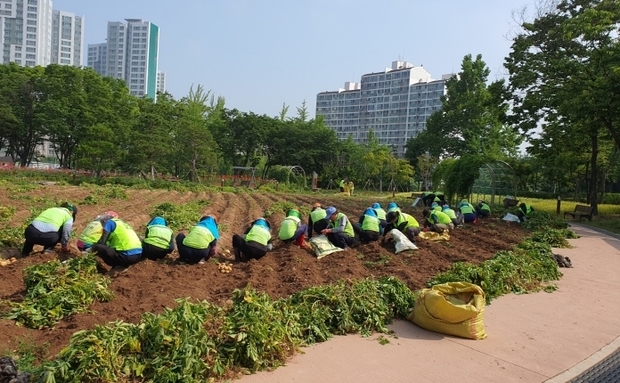썸네일이미지