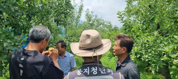 썸네일이미지