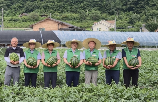 썸네일이미지