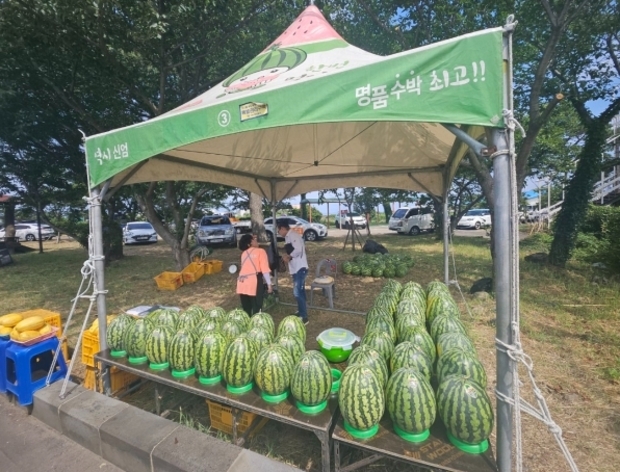 썸네일이미지