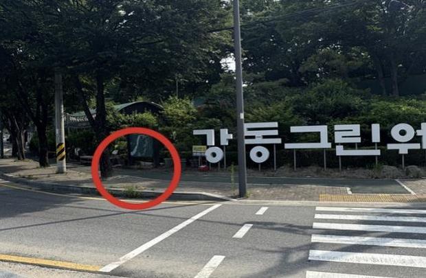 썸네일이미지