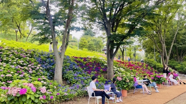 썸네일이미지