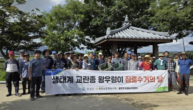 썸네일이미지