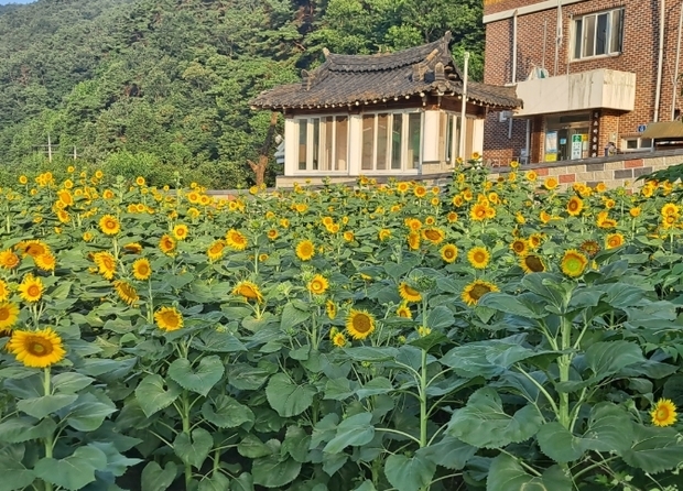 썸네일이미지