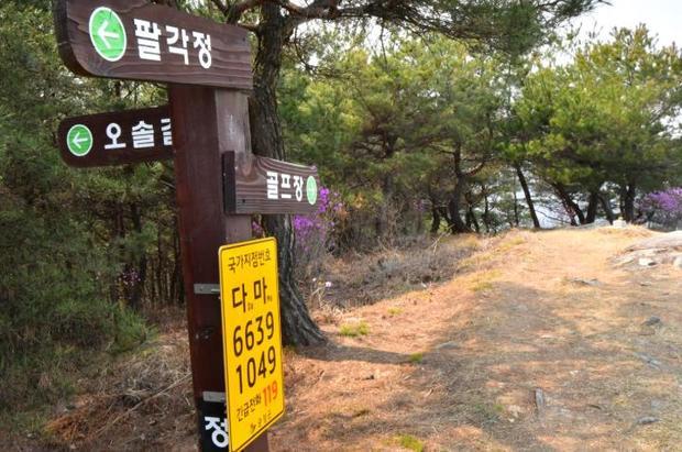 썸네일이미지